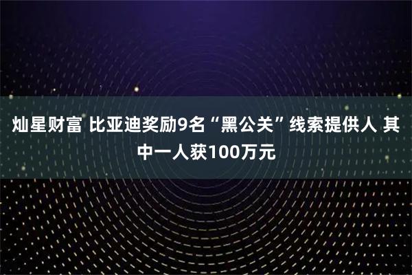 灿星财富 比亚迪奖励9名“黑公关”线索提供人 其中一人获100万元