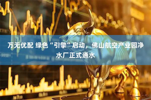 万无优配 绿色“引擎”启动，佛山航空产业园净水厂正式通水