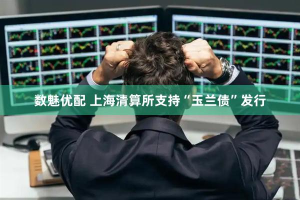 数魅优配 上海清算所支持“玉兰债”发行