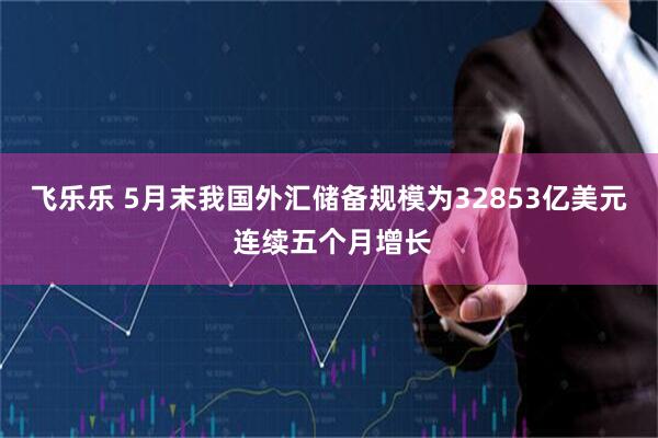 飞乐乐 5月末我国外汇储备规模为32853亿美元 连续五个月增长
