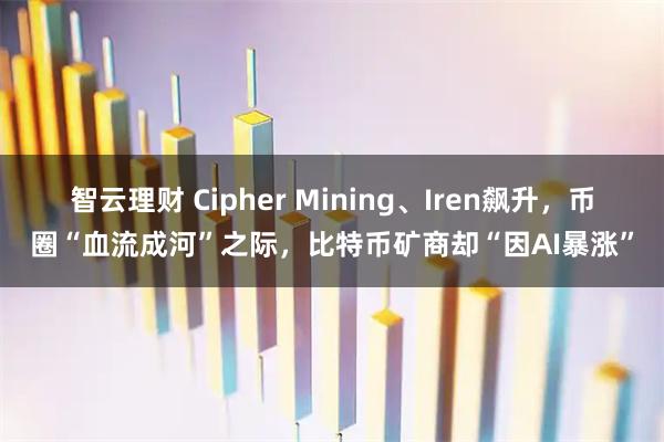 智云理财 Cipher Mining、Iren飙升,币圈“血流成河”之际,比特币矿商却“因AI暴涨”